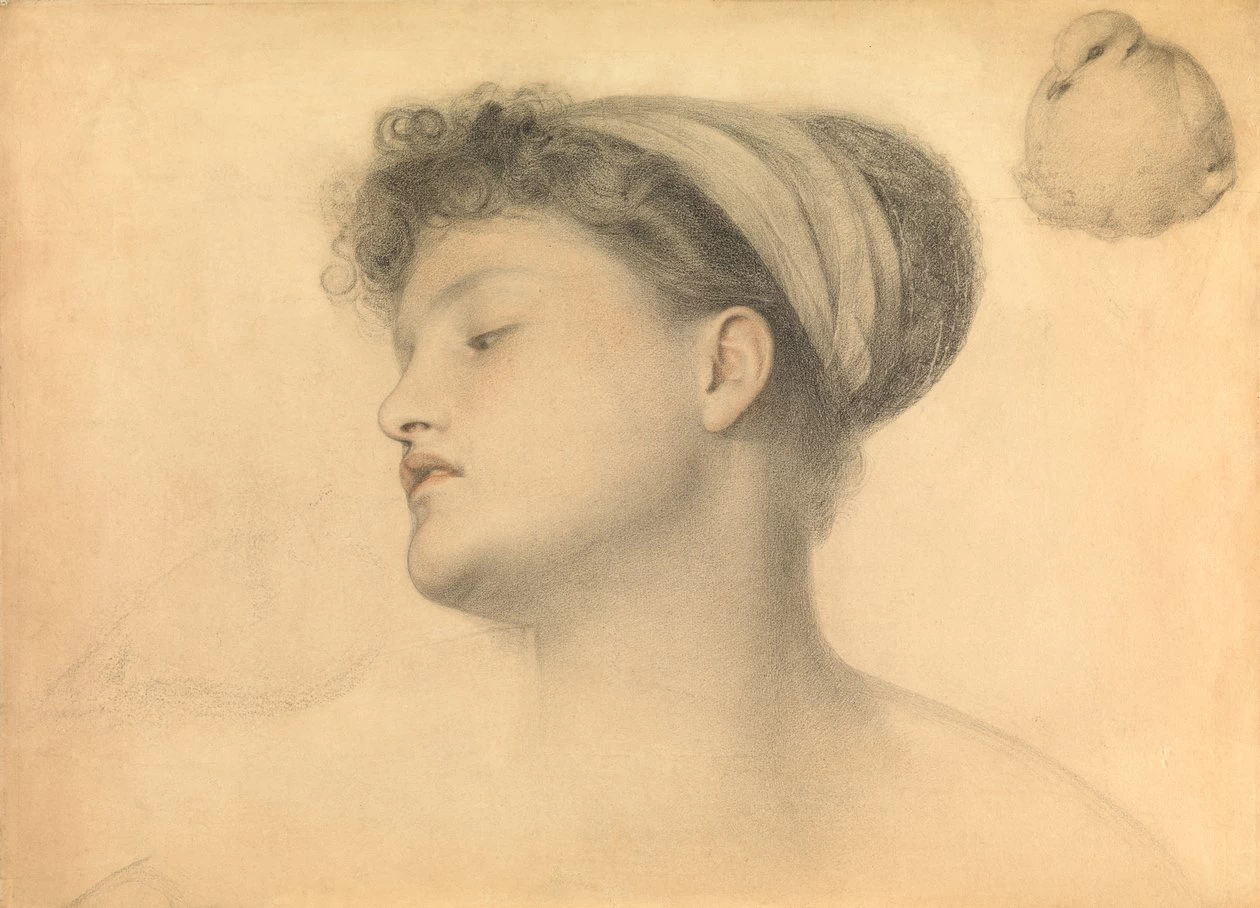 Frederick Sandys-96-Studio per Ragazza con colombe